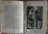 Подарункове видання про псове полювання, кориду, бої півнів (1912), фото №6