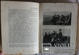 Подарункове видання про псове полювання, кориду, бої півнів (1912), фото №7