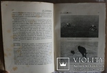 Подарункове видання про псове полювання, кориду, бої півнів (1912), фото №8