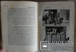 Подарункове видання про псове полювання, кориду, бої півнів (1912), фото №9