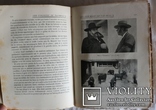 Подарункове видання про псове полювання, кориду, бої півнів (1912), фото №10