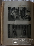 Подарункове видання про псове полювання, кориду, бої півнів (1912), фото №13