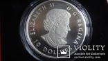 10  долларов  2017  Канада озеро Пейто  серебро, фото №5