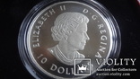 10  долларов  2017  Канада озеро Пейто  серебро, фото №6