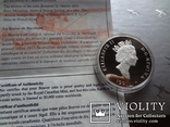 20 долларов 1991 Хевиленд Биве серебро, фото №5