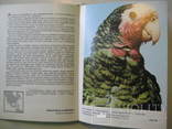 Комплект книг по орнітології, 4 шт., фото №10