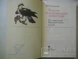 Комплект книг по орнітології, 4 шт., numer zdjęcia 13