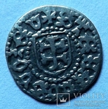 Монета Молдавского княжества бычок, фото №5