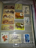 Поштові марки, фото №3