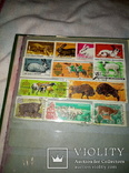 Поштові марки, фото №9