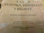 Книга д-р Шпрингер Анатомия Физиология Гигиена на Польском Варшава 1928, фото №10