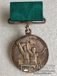 Большая серебрянная медаль ВСХВ, фото №3