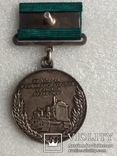 Большая серебрянная медаль ВСХВ, фото №4