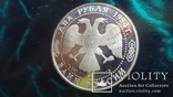 2  рубля  1994  Бажов  серебро   (6.5.4)~, фото №5