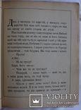 Казка "Царенко і Змій" (Київ, Відень, Львів, 1923). Малюнки Юрія Вовка, фото №4