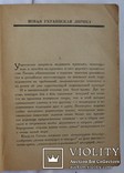 "Антология украинской поэзии в русских переводах" (1924). Від Котляревського до Зерова, фото №3