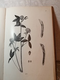 Книга Прянишников Частное земледелие каталог растений, фото №3