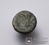 Еоліда, м.Кіми (Кіма), 350-250 до н.е. – орел / скіфос, фото №9