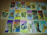 Динозавры полная коллекция вкладыши и наклейки Динопарк Юрского №1, фото №3