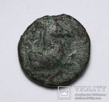 Еоліда, м.Кіми, IV-III ст.до н.е. – кінь / скіфос, фото №3