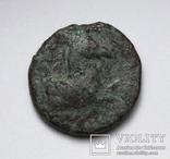Еоліда, м.Кіми, IV-III ст.до н.е. – кінь / скіфос, фото №6