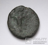 Еоліда, м.Кіми, IV-III ст.до н.е. – кінь / скіфос, фото №9