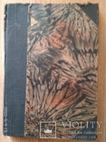 Чайковський. За силу сонця, Львів - 1925 Петро Холодний, фото №4