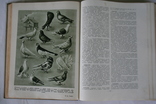 Краткая энциклопедия домашнего хозяйства. В 2-х томах. 1960, фото №6
