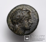 Еоліда, м.Лариса Фріконіс, IV ст. до н.е. – Аполлон / бик, фото №5