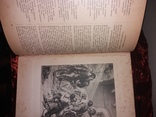 Шиллер 1901 ПСС Брокгауз Библиотека великих писателей, фото №7