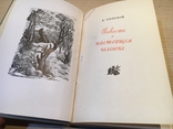 Полевой Б. Повесть о настоящем человеке. 1948 г., фото №3