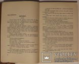 "Над синім Дунаєм. Ювілейний збірник українського товариства «Січ» у Відні" (1932), фото №5