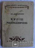 Олександр Дорошкевич, "Куліш і Милорадовичівна. Листи" (1927), фото №2