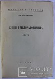 Олександр Дорошкевич, "Куліш і Милорадовичівна. Листи" (1927), фото №3