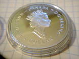 1 доллар серебро Канада 2002 г. Королева - мать., фото №4