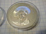 1 доллар серебро Канада 2002 г. Королева - мать., фото №7