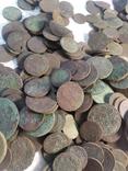 595  мідних монет Австро-Угорщини, фото №7
