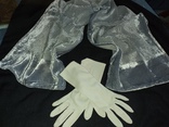 Бархат,шелк и перчатки, фото №2