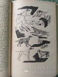Записки ружейного охотника Оренбургской области С. Т. Аксаков, Москва 1987г, фото №7