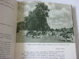 Знаменательные места Украины книга-альбом, фото №12