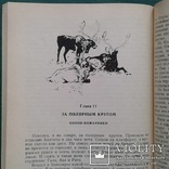 ,,Быть зоологом" (изд-во МГУ, 1992 год)., фото №11