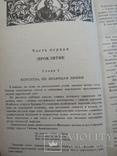 Романы Мориса Дрюона " Железный король" и " Узница Шато-Гайяра", фото №9