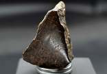 NWA каменный метеорит, обычные хондриты,  Сахара, для коллекционеров, фото №3