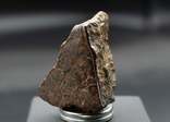 NWA каменный метеорит, обычные хондриты,  Сахара, для коллекционеров, фото №4
