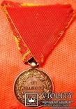 Болгария, Медаль За Заслуги, степень - серебро, фото №3