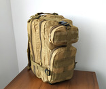 Тактический (городской) рюкзак Oxford 600D с системой M.O.L.L.E (кайот), фото №4