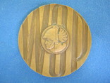 Медаль за заслуги в охране границ., фото №5
