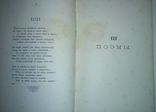 Н.М.Минский "Стихотворения" 1888 год., фото №8