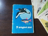 Комплект открыток 1978 У водоема. Животные, насекомые. 16шт, фото №3