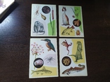 Комплект открыток 1978 У водоема. Животные, насекомые. 16шт, фото №8